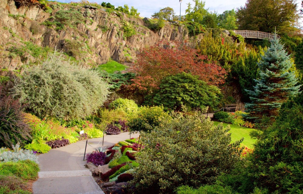 Luvuyos Guest House at Queen Elizabeth Park Nature Reserve